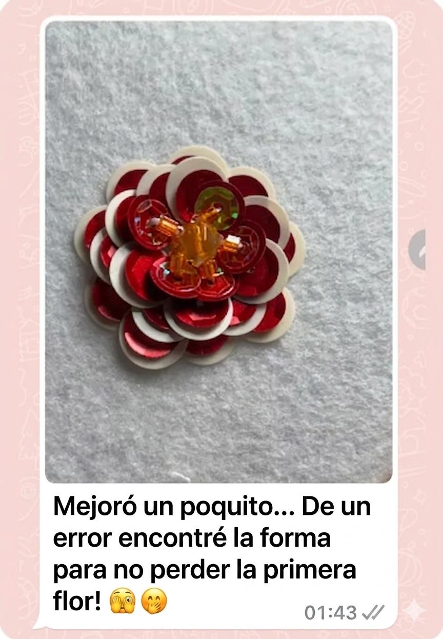 Depoimento WhatsApp 3